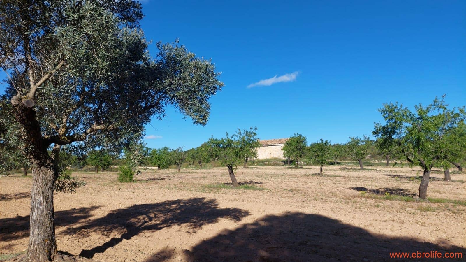 1 camera da letto Finca/Casa di Campagna in vendita in Mazaleon - 45.000 € (Rif: 9785110)