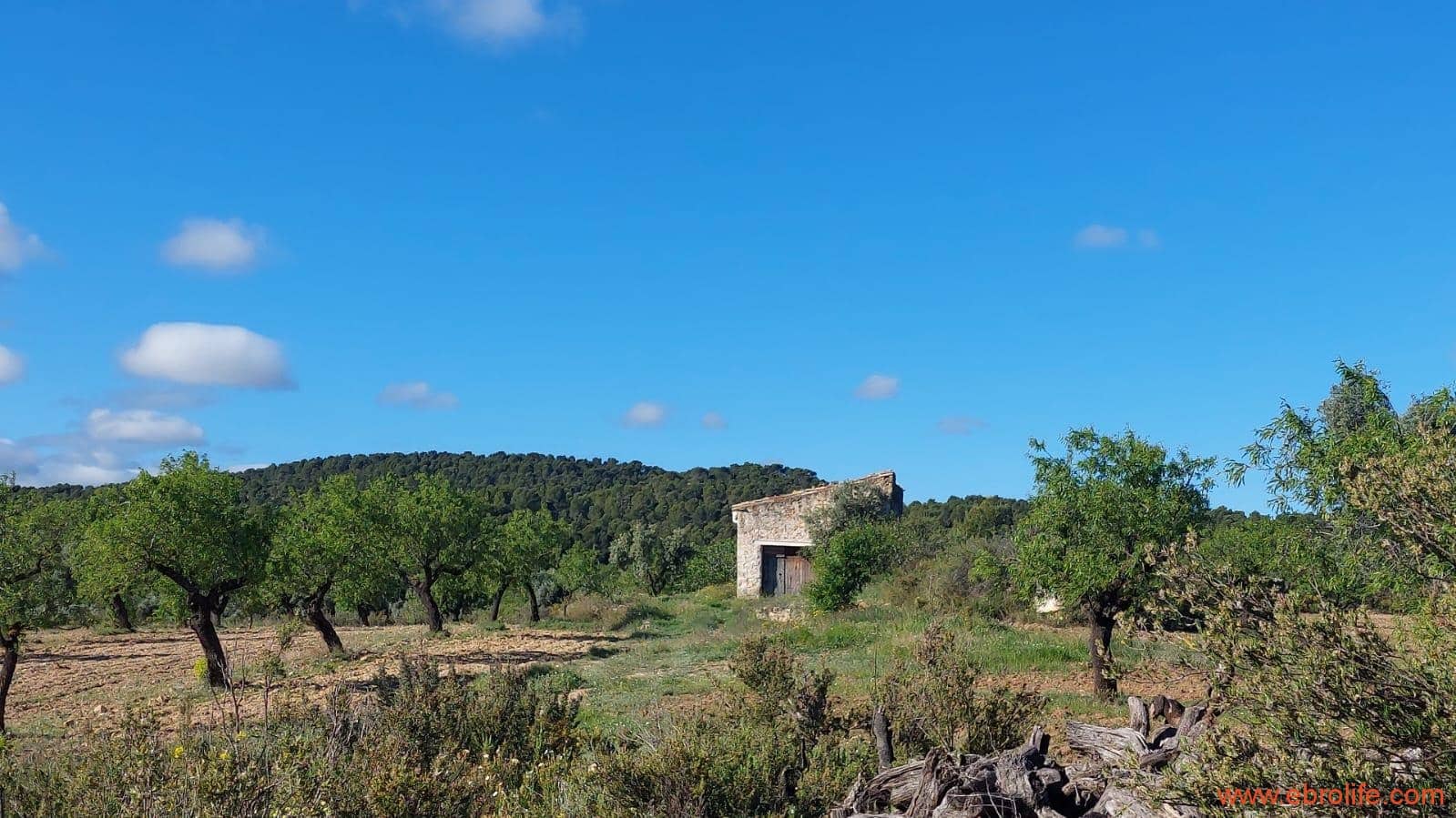 1 camera da letto Finca/Casa di Campagna in vendita in Mazaleon - 45.000 € (Rif: 9785110)