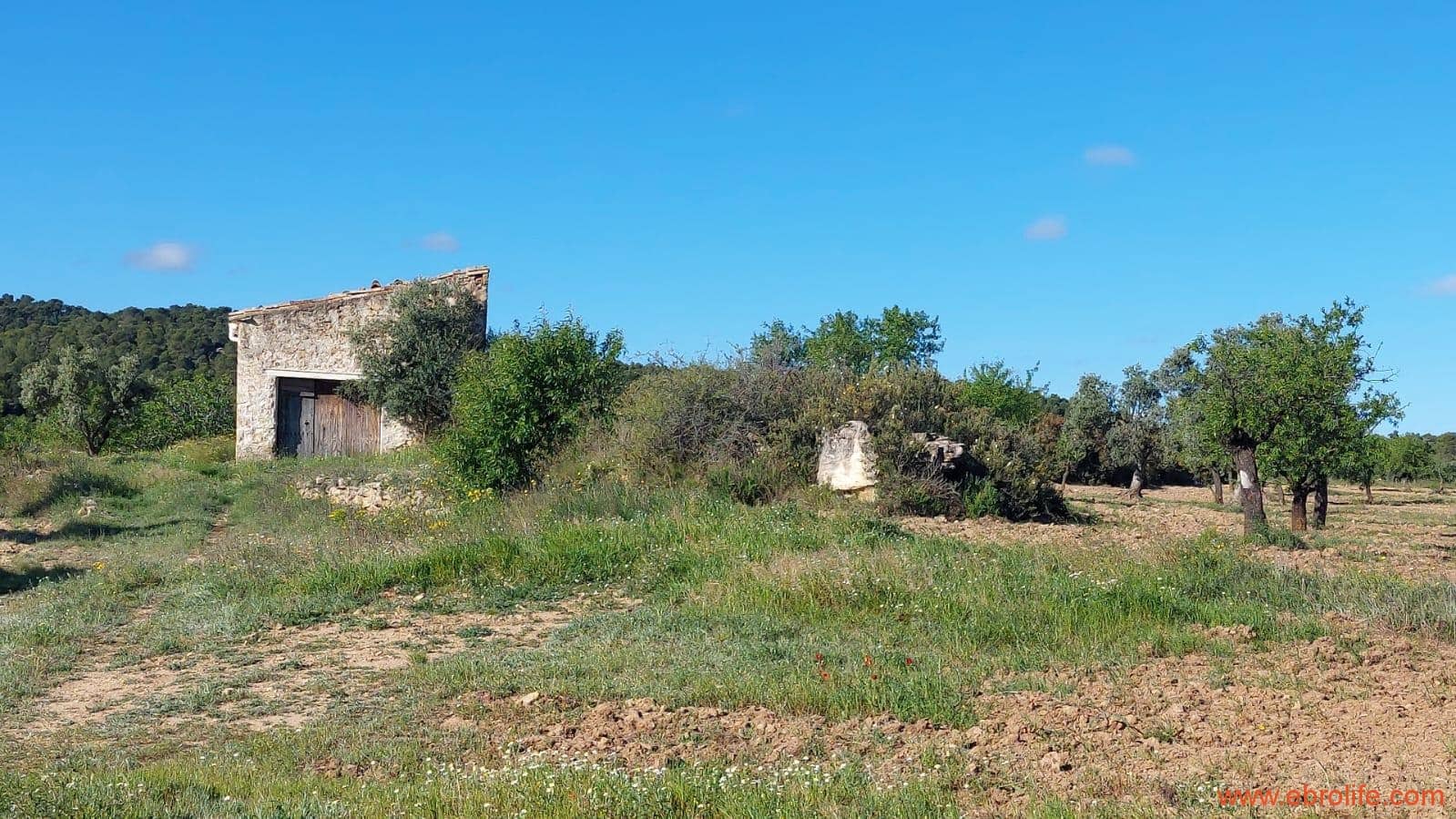 1 camera da letto Finca/Casa di Campagna in vendita in Mazaleon - 45.000 € (Rif: 9785110)