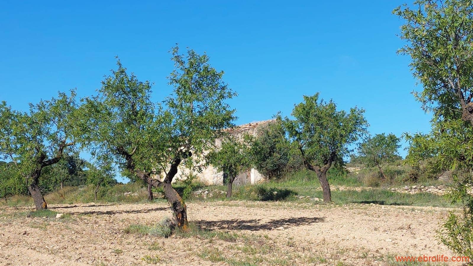 1 camera da letto Finca/Casa di Campagna in vendita in Mazaleon - 45.000 € (Rif: 9785110)