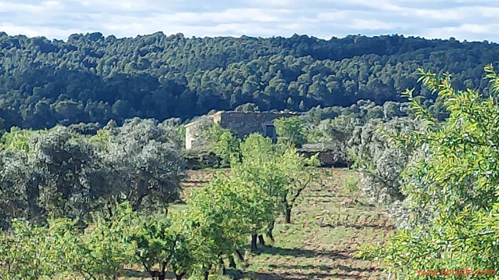 1 camera da letto Finca/Casa di Campagna in vendita in Mazaleon - 45.000 € (Rif: 9785110)