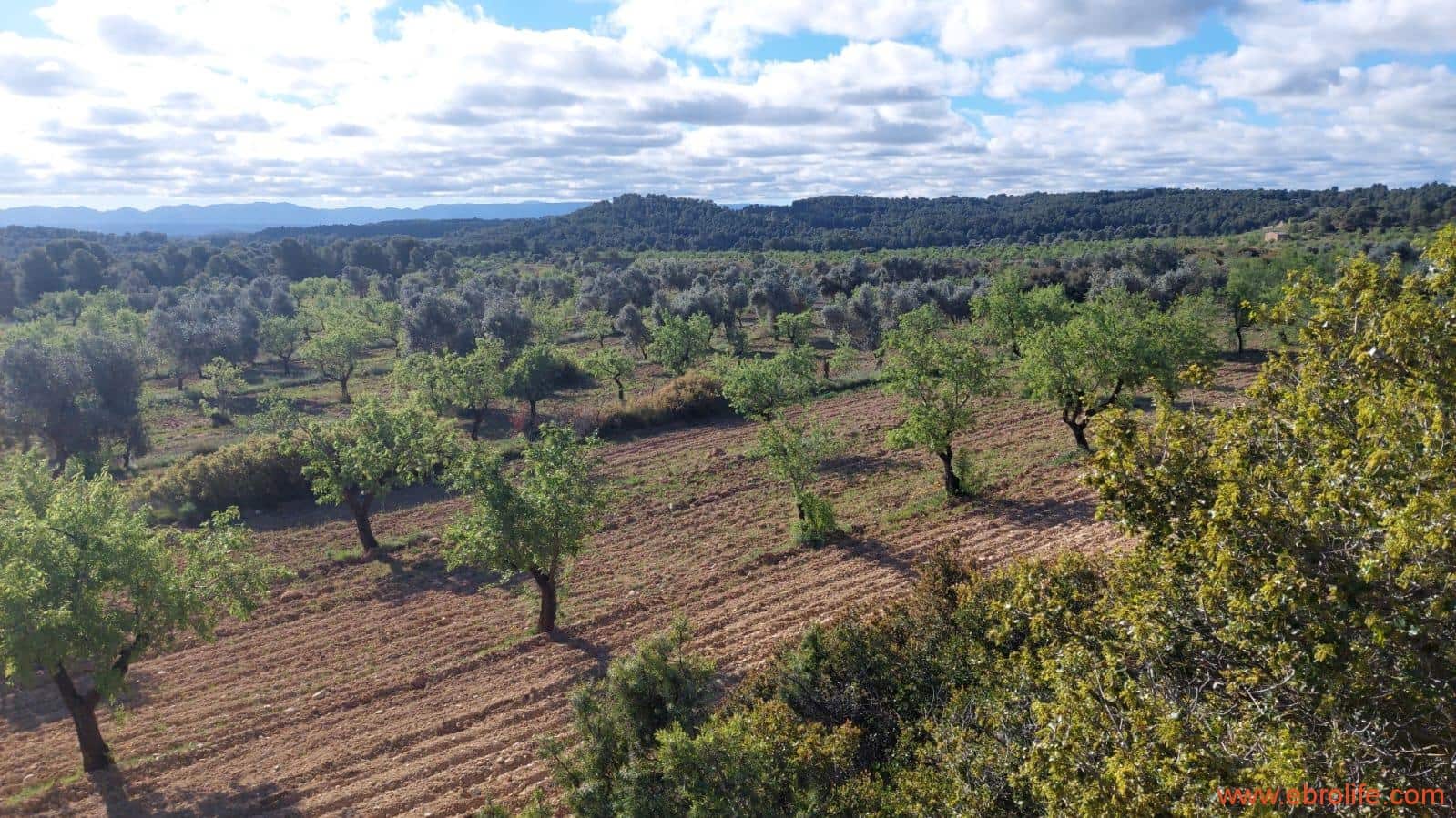 1 camera da letto Finca/Casa di Campagna in vendita in Mazaleon - 45.000 € (Rif: 9785110)