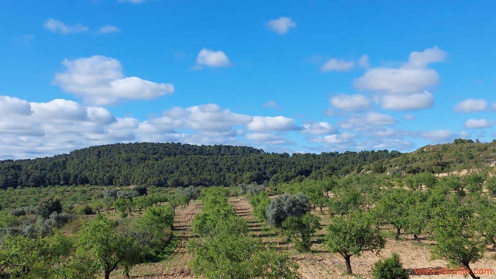 1 camera da letto Finca/Casa di Campagna in vendita in Mazaleon - 45.000 € (Rif: 9785110)