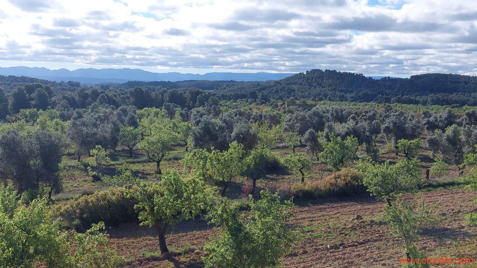 1 camera da letto Finca/Casa di Campagna in vendita in Mazaleon - 45.000 € (Rif: 9785110)