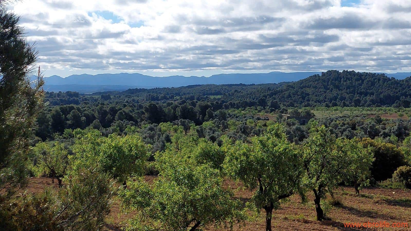 1 camera da letto Finca/Casa di Campagna in vendita in Mazaleon - 45.000 € (Rif: 9785110)