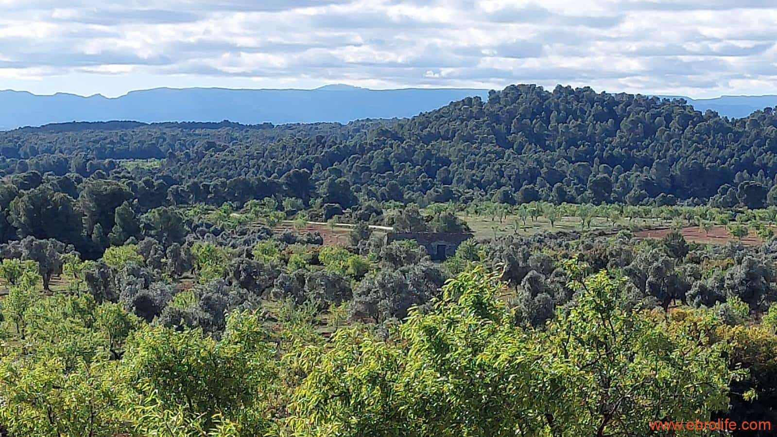 1 camera da letto Finca/Casa di Campagna in vendita in Mazaleon - 45.000 € (Rif: 9785110)