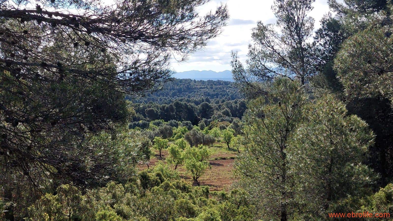 1 camera da letto Finca/Casa di Campagna in vendita in Mazaleon - 45.000 € (Rif: 9785110)