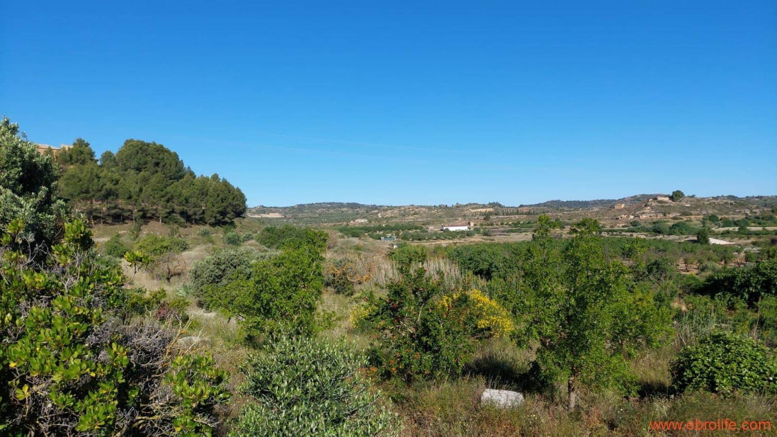 1 bedroom Finca/Country House for sale in Maella - € 16,000 (Ref: 9839964)