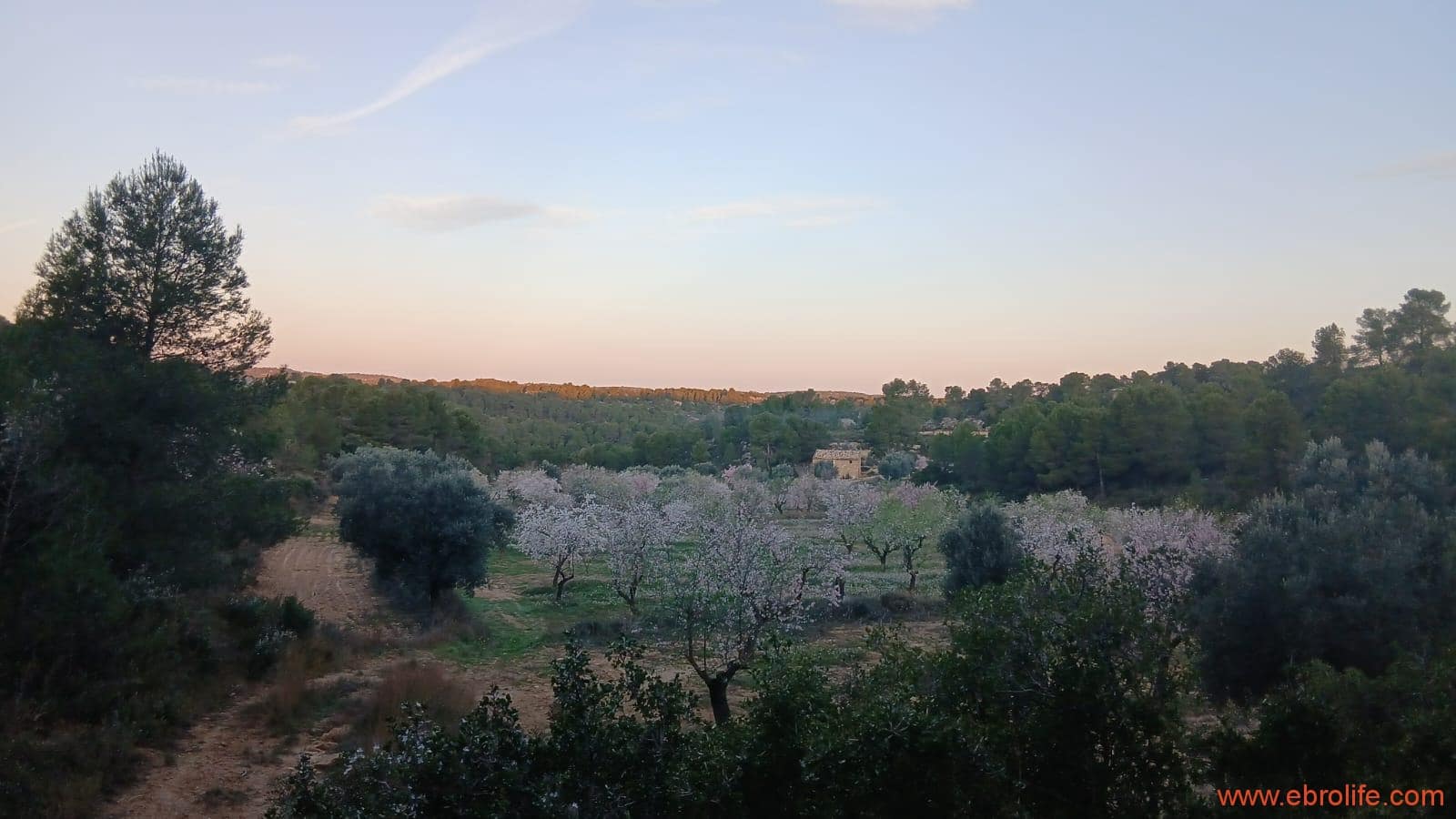 1 camera da letto Finca/Casa di Campagna in vendita in Mazaleon - 66.000 € (Rif: 9870439)