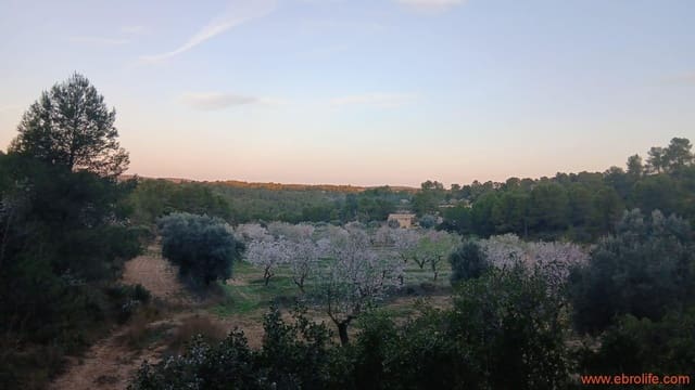 1 camera da letto Finca/Casa di Campagna in vendita in Mazaleón - 66.000 € (Rif: 9870439)