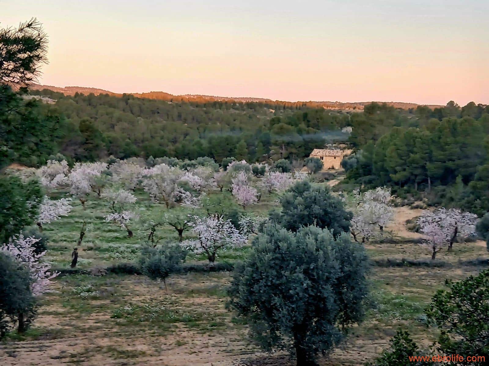 1 camera da letto Finca/Casa di Campagna in vendita in Mazaleon - 66.000 € (Rif: 9870439)