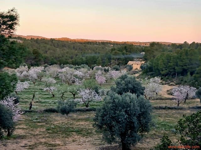 1 camera da letto Finca/Casa di Campagna in vendita in Mazaleón - 66.000 € (Rif: 9870439)