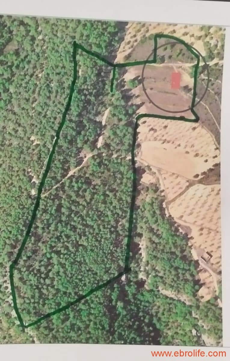 1 Zimmer Finca/Landgut zu verkaufen in Rafales - 59.000 € (Ref: 9900705)