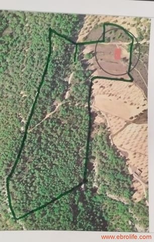1 Zimmer Finca/Landgut zu verkaufen in Ráfales - 59.000 € (Ref: 9900705)