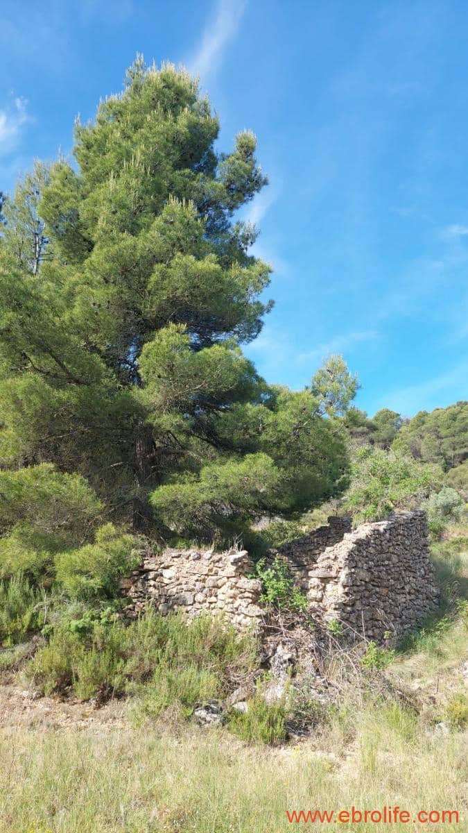 1 Zimmer Finca/Landgut zu verkaufen in Rafales - 59.000 € (Ref: 9900705)