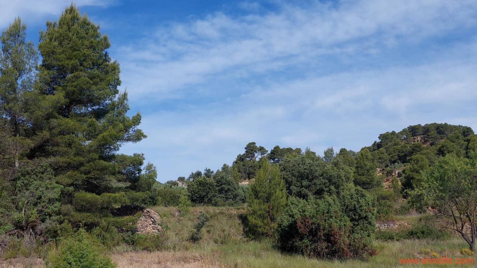 1 Zimmer Finca/Landgut zu verkaufen in Rafales - 59.000 € (Ref: 9900705)