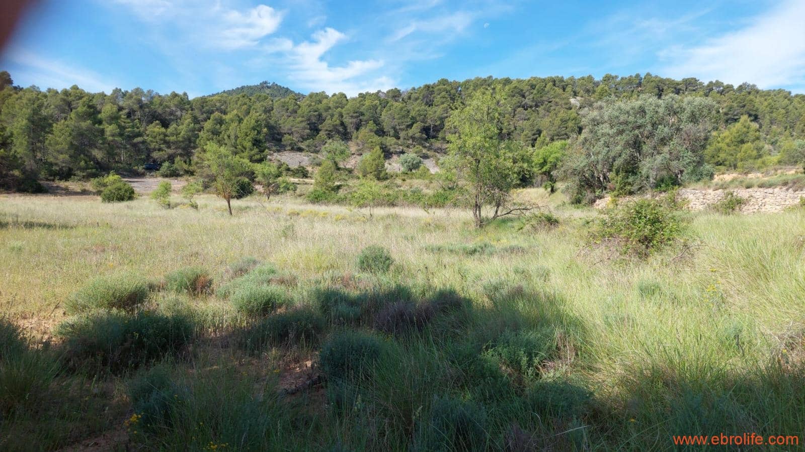 1 Zimmer Finca/Landgut zu verkaufen in Rafales - 59.000 € (Ref: 9900705)