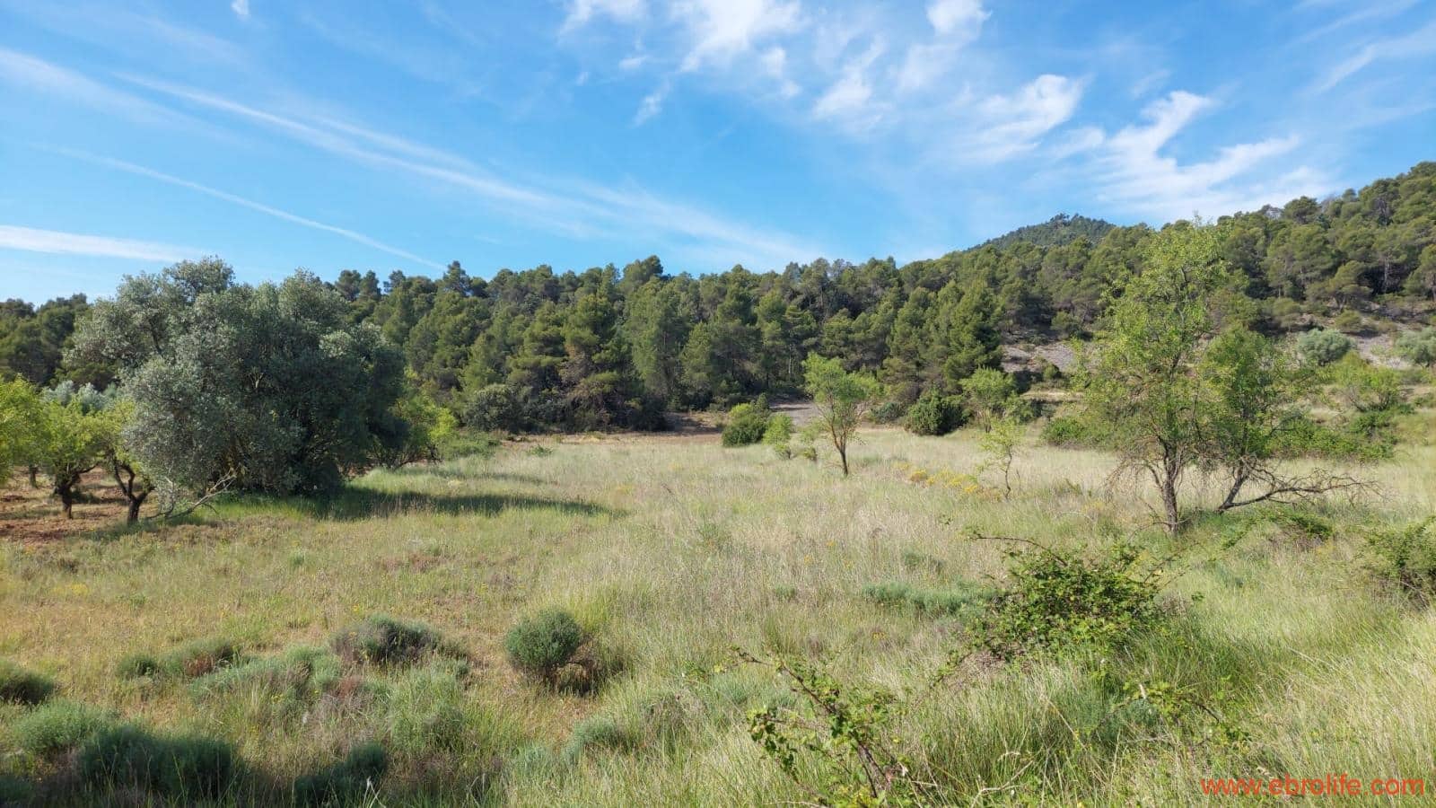 1 Zimmer Finca/Landgut zu verkaufen in Rafales - 59.000 € (Ref: 9900705)