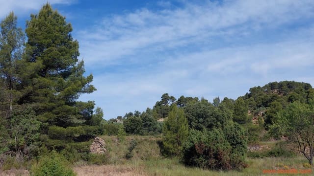 1 Zimmer Finca/Landgut zu verkaufen in Ráfales - 59.000 € (Ref: 9900705)