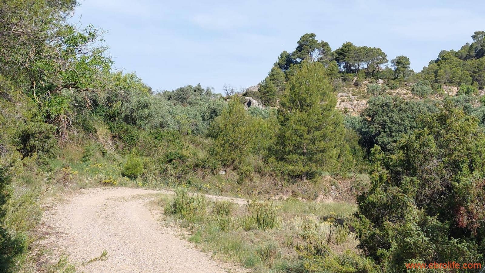 1 Zimmer Finca/Landgut zu verkaufen in Rafales - 59.000 € (Ref: 9900705)