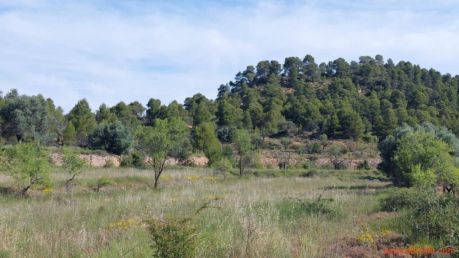 1 Zimmer Finca/Landgut zu verkaufen in Rafales - 59.000 € (Ref: 9900705)