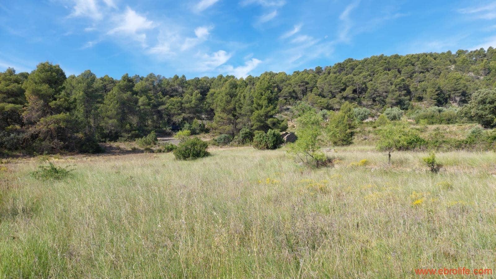 1 Zimmer Finca/Landgut zu verkaufen in Rafales - 59.000 € (Ref: 9900705)