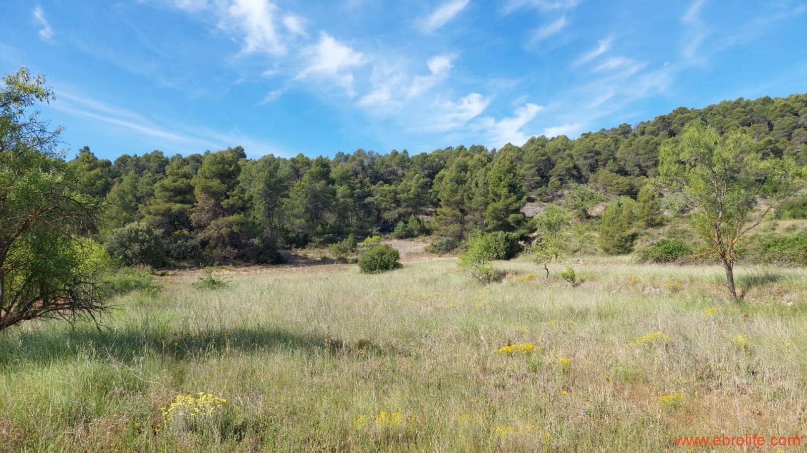 1 Zimmer Finca/Landgut zu verkaufen in Rafales - 59.000 € (Ref: 9900705)