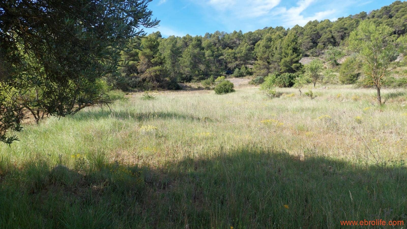 1 Zimmer Finca/Landgut zu verkaufen in Rafales - 59.000 € (Ref: 9900705)