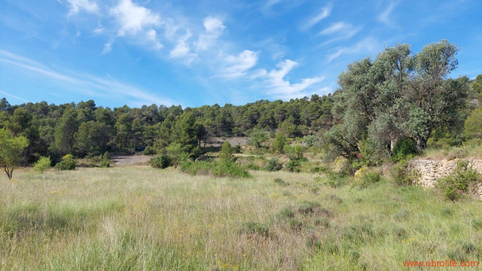 1 Zimmer Finca/Landgut zu verkaufen in Rafales - 59.000 € (Ref: 9900705)