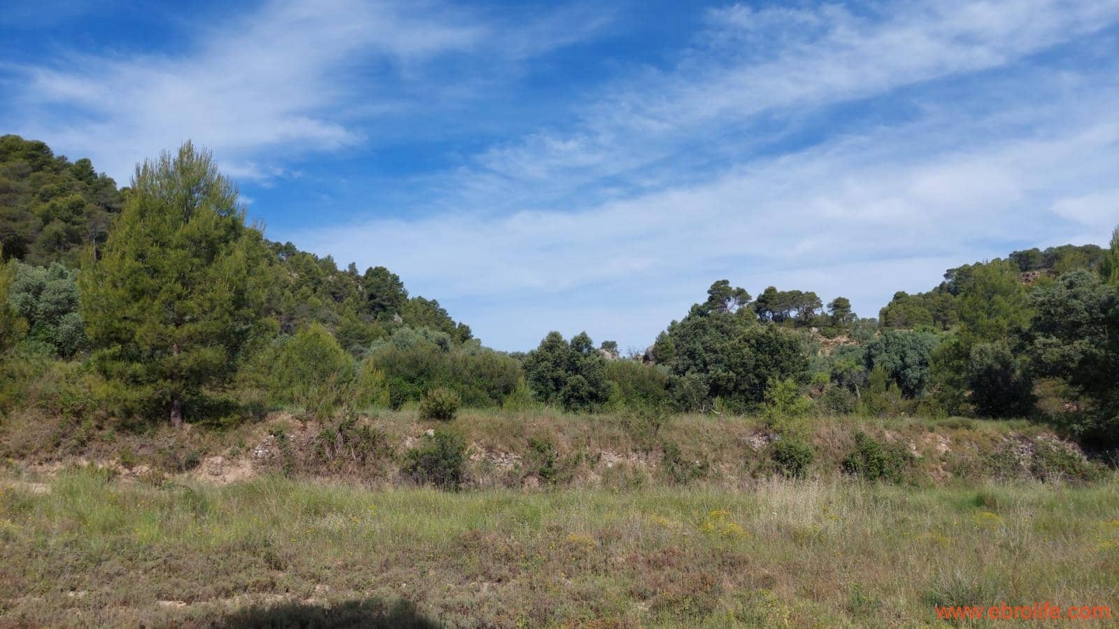 1 Zimmer Finca/Landgut zu verkaufen in Rafales - 59.000 € (Ref: 9900705)