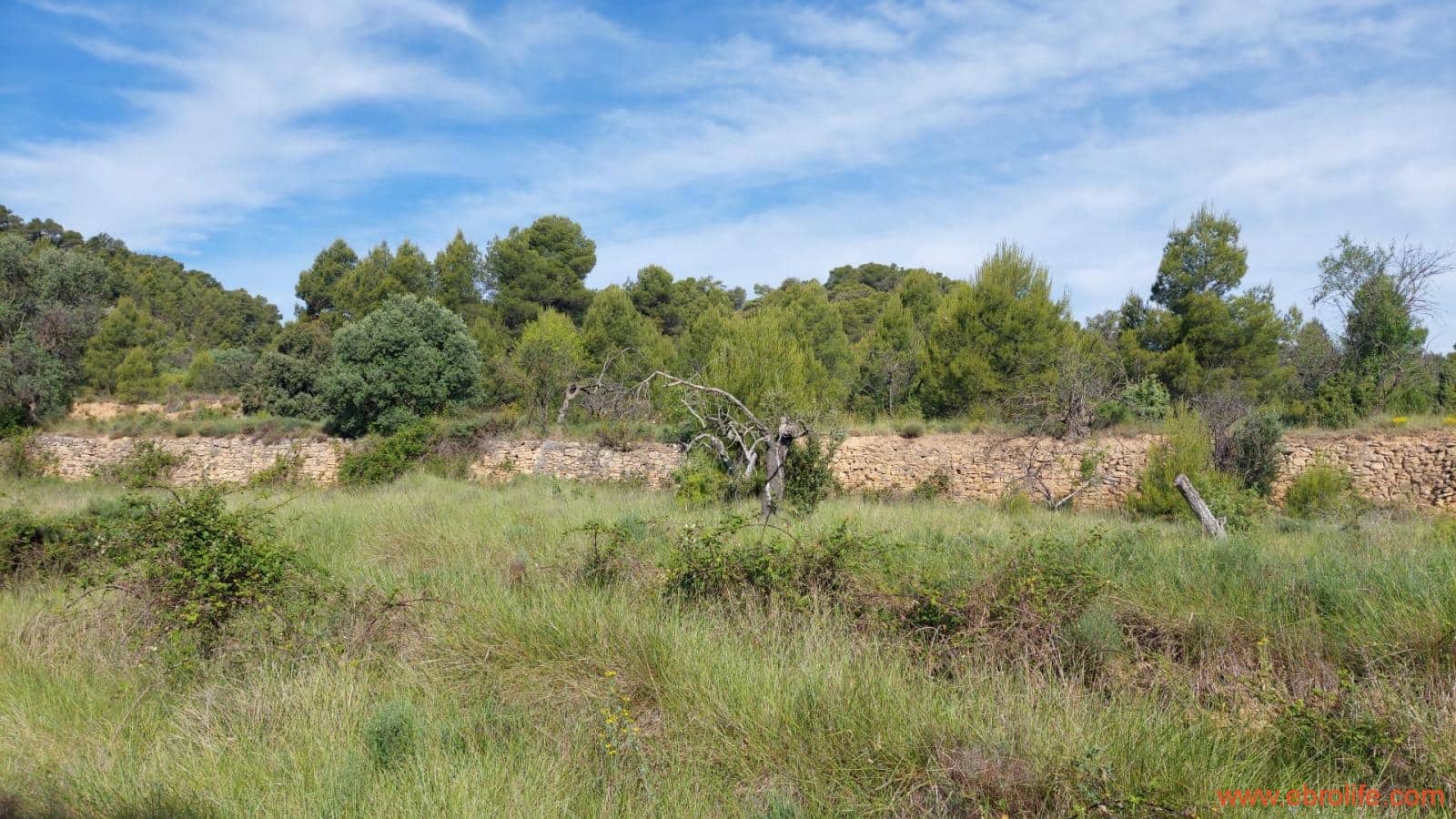 1 Zimmer Finca/Landgut zu verkaufen in Rafales - 59.000 € (Ref: 9900705)