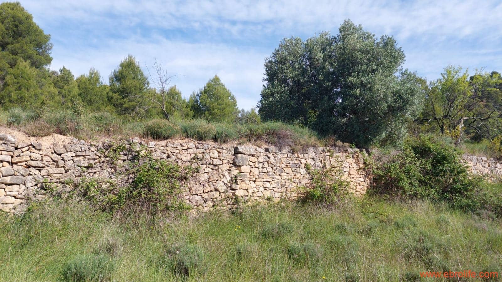 1 Zimmer Finca/Landgut zu verkaufen in Rafales - 59.000 € (Ref: 9900705)