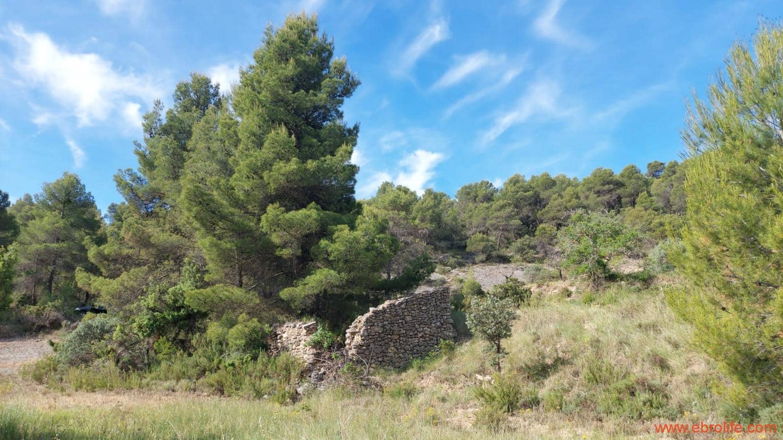 1 Zimmer Finca/Landgut zu verkaufen in Rafales - 59.000 € (Ref: 9900705)