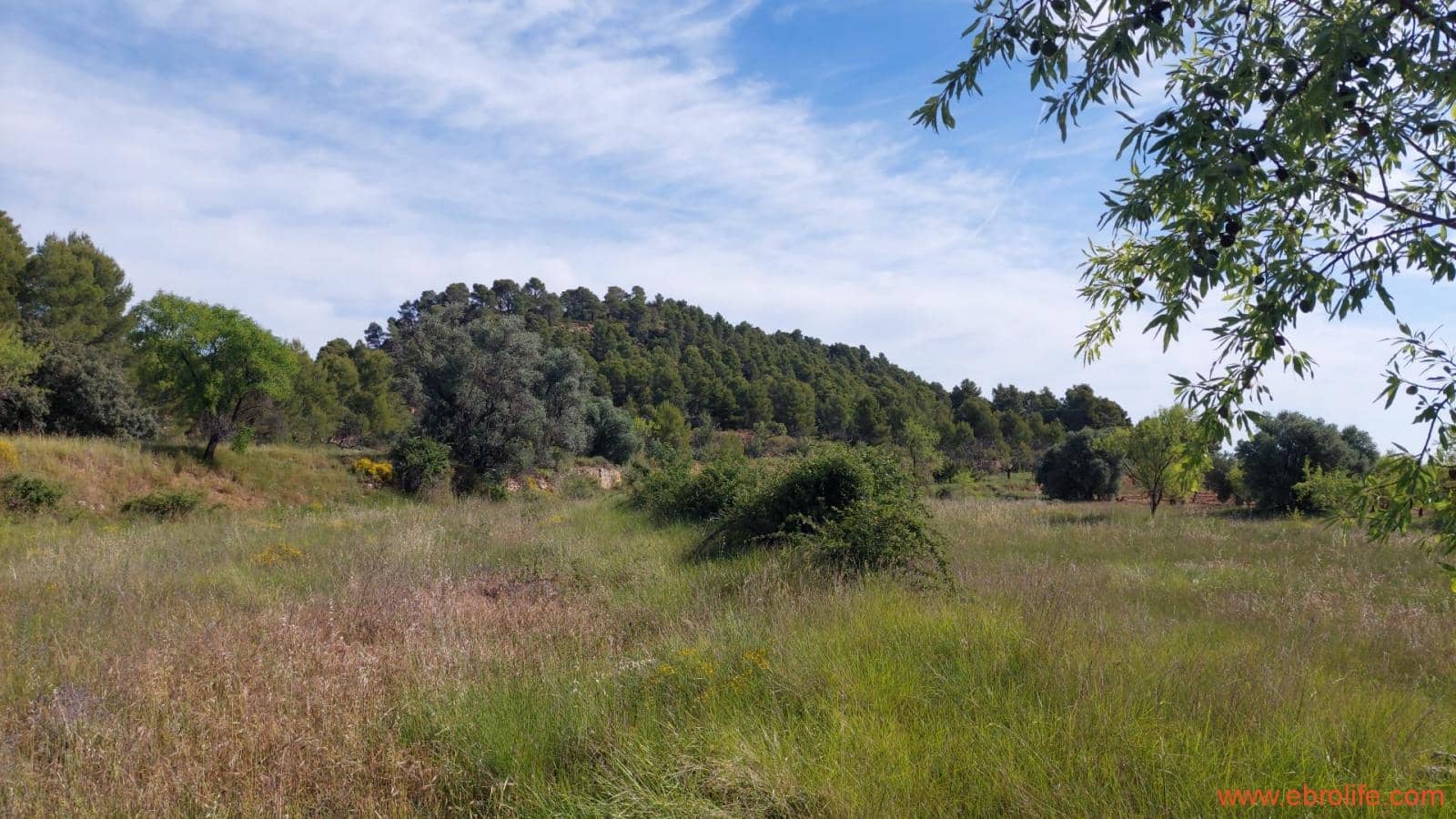 1 Zimmer Finca/Landgut zu verkaufen in Rafales - 59.000 € (Ref: 9900705)