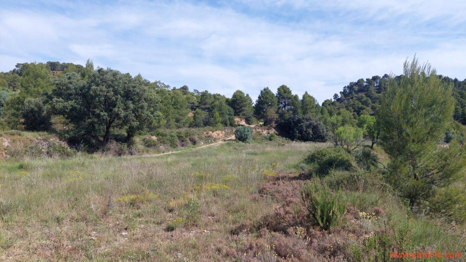 1 Zimmer Finca/Landgut zu verkaufen in Rafales - 59.000 € (Ref: 9900705)