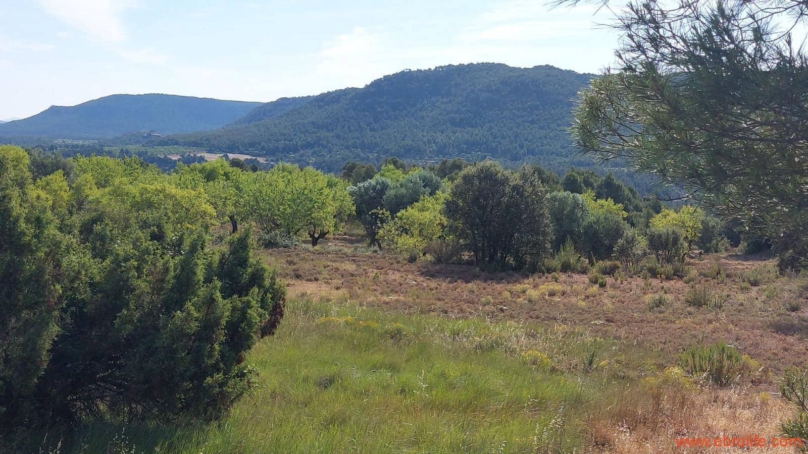 1 Zimmer Finca/Landgut zu verkaufen in Rafales - 59.000 € (Ref: 9900705)
