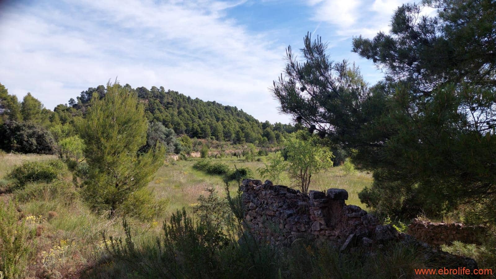 1 Zimmer Finca/Landgut zu verkaufen in Rafales - 59.000 € (Ref: 9900705)