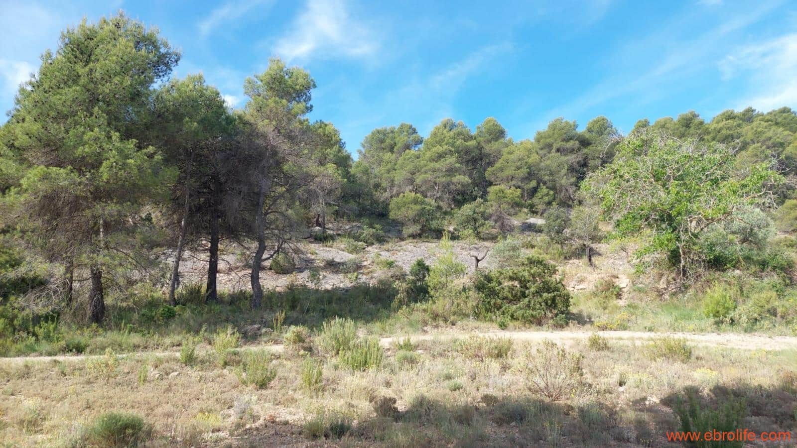 1 Zimmer Finca/Landgut zu verkaufen in Rafales - 59.000 € (Ref: 9900705)