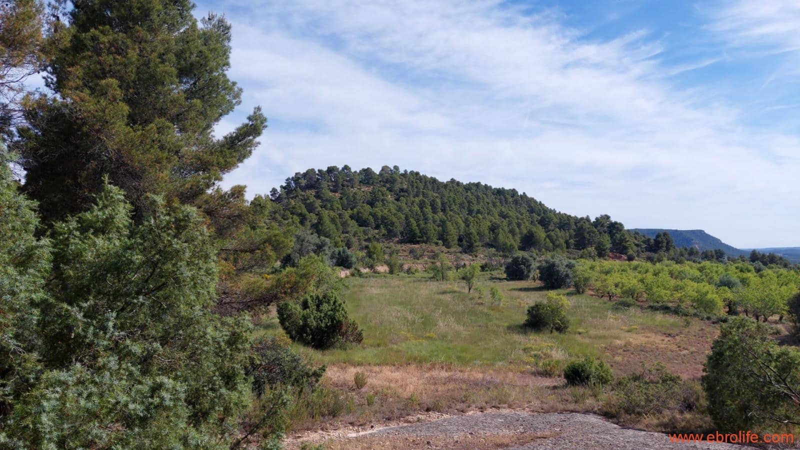 1 Zimmer Finca/Landgut zu verkaufen in Rafales - 59.000 € (Ref: 9900705)