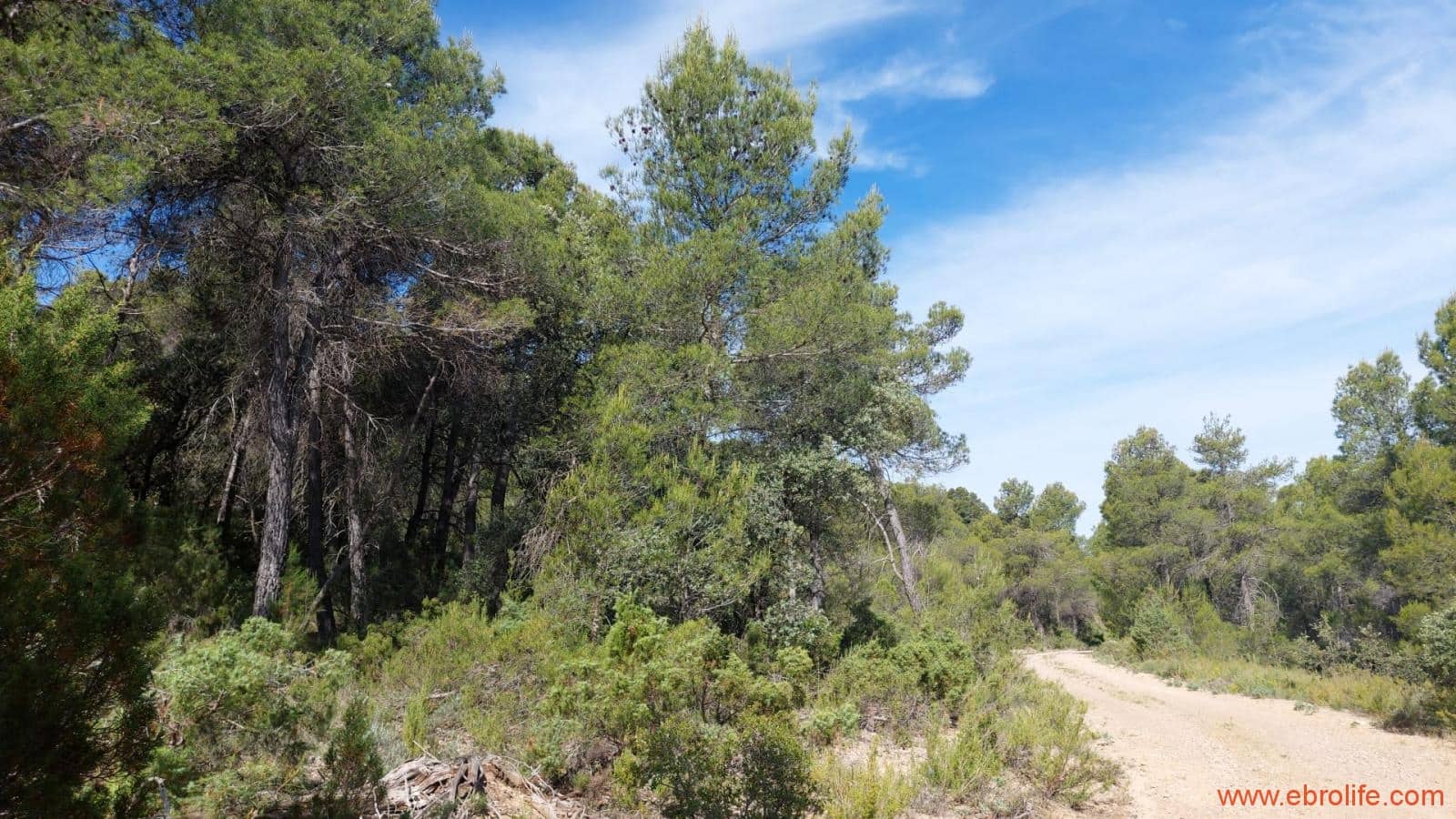 1 Zimmer Finca/Landgut zu verkaufen in Rafales - 59.000 € (Ref: 9900705)