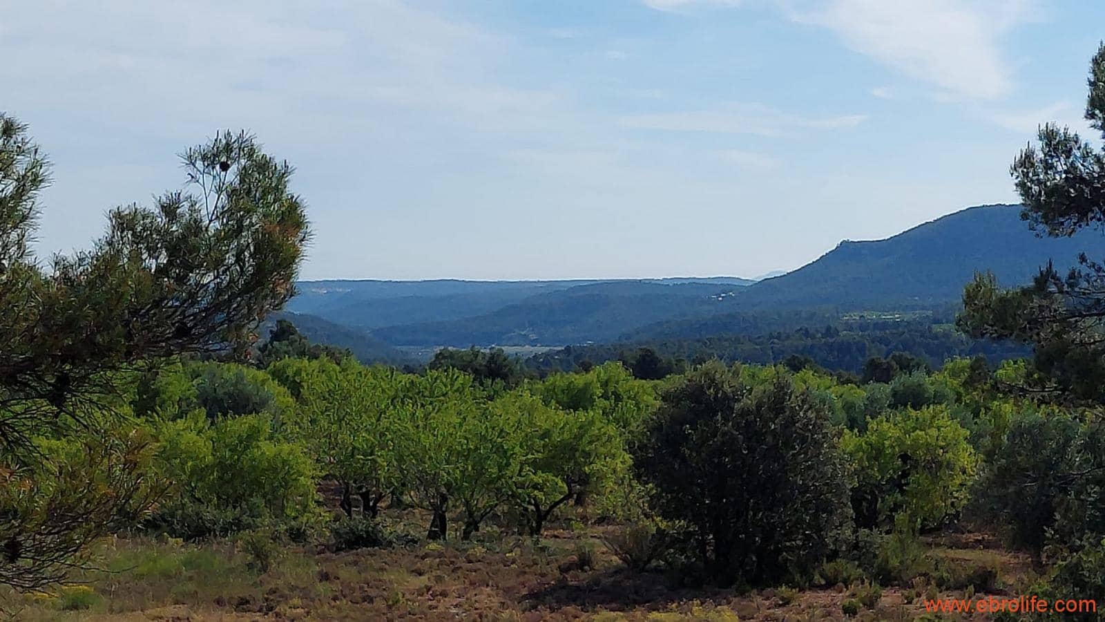 1 Zimmer Finca/Landgut zu verkaufen in Rafales - 59.000 € (Ref: 9900705)