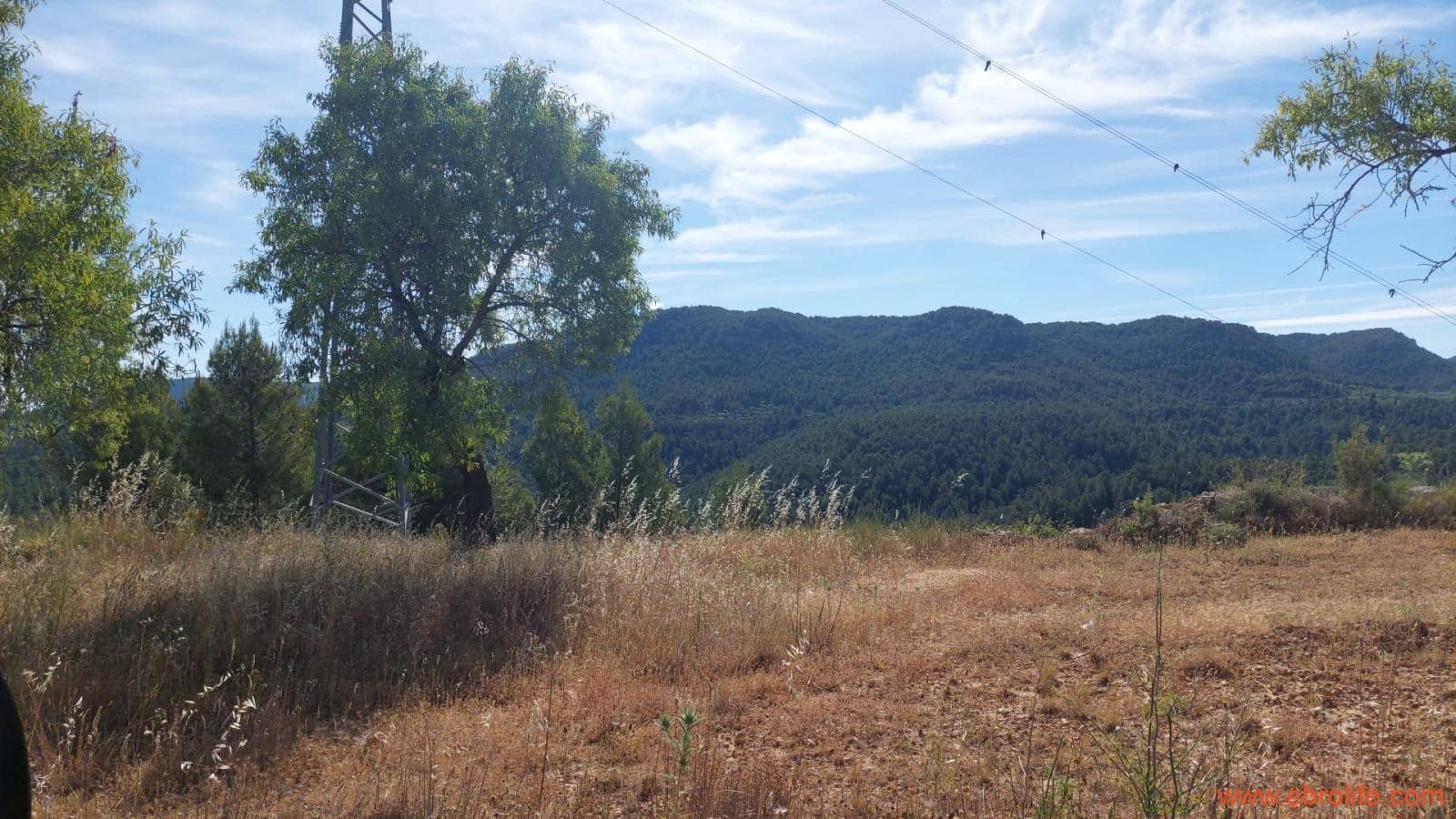 1 Zimmer Finca/Landgut zu verkaufen in Rafales - 59.000 € (Ref: 9900705)