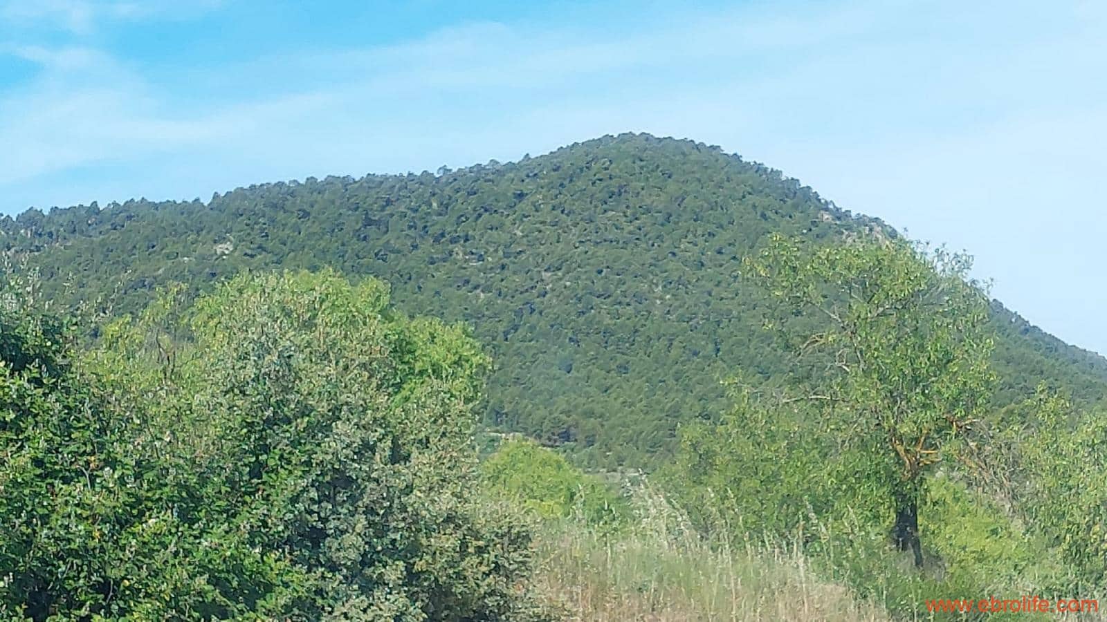 1 Zimmer Finca/Landgut zu verkaufen in Rafales - 59.000 € (Ref: 9900705)