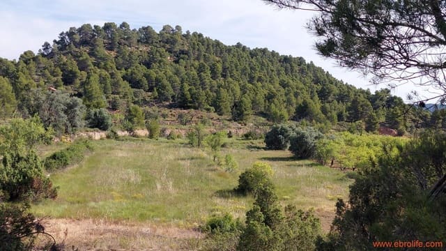 1 Zimmer Finca/Landgut zu verkaufen in Ráfales - 59.000 € (Ref: 9900705)
