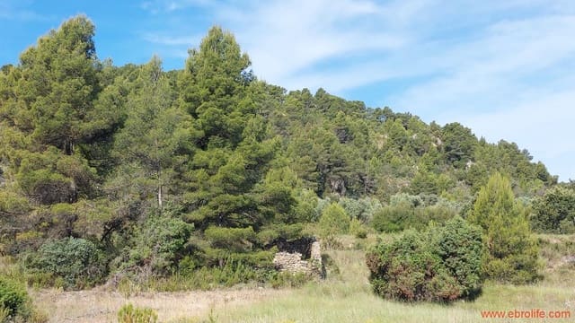 1 Zimmer Finca/Landgut zu verkaufen in Ráfales - 59.000 € (Ref: 9900705)