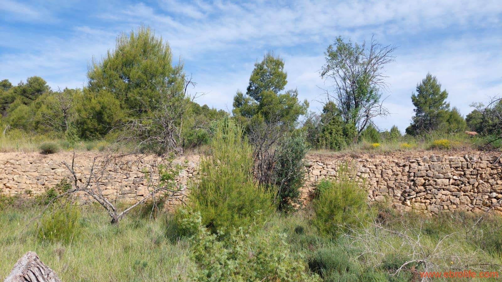 1 Zimmer Finca/Landgut zu verkaufen in Rafales - 59.000 € (Ref: 9900705)