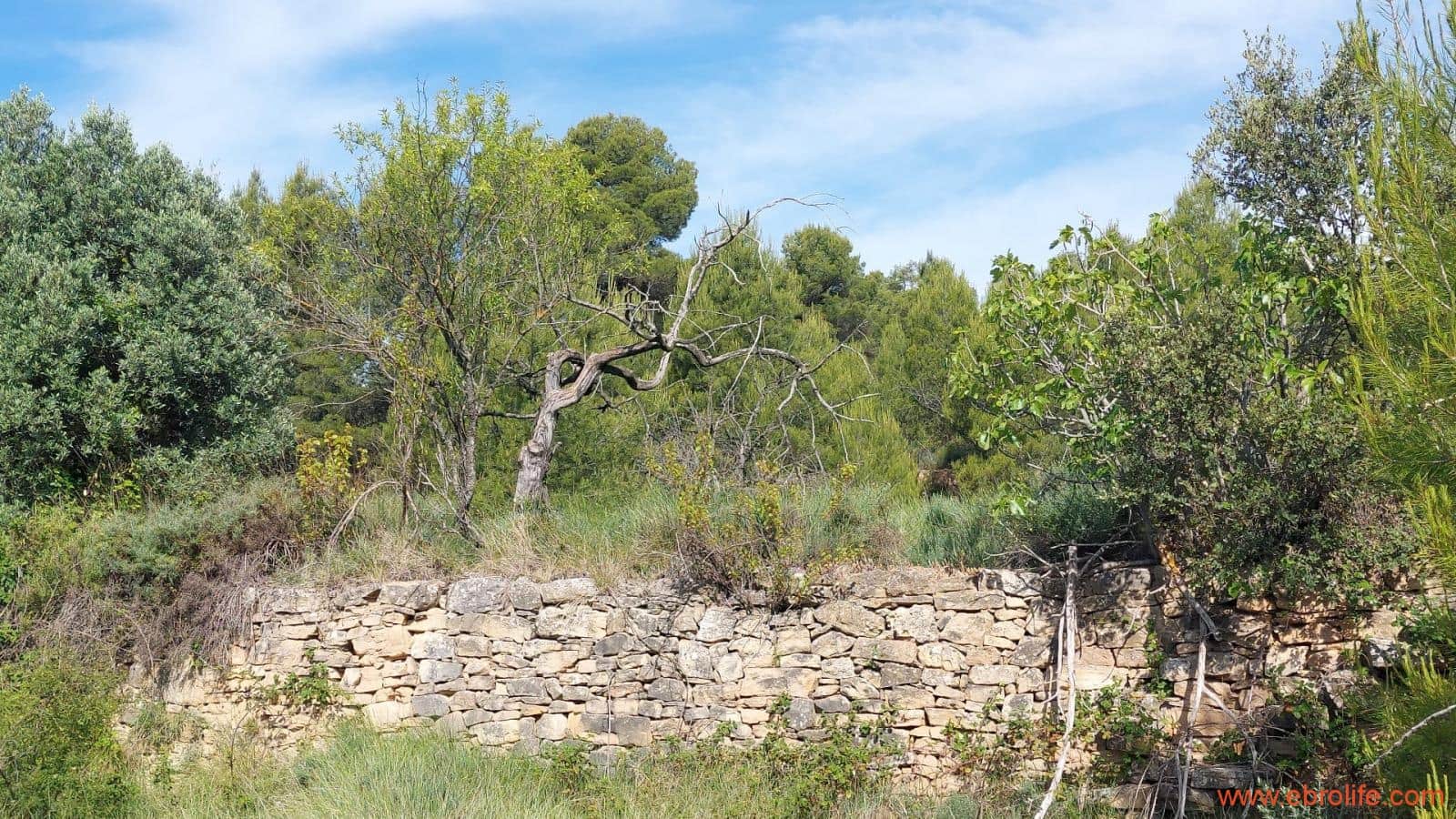 1 Zimmer Finca/Landgut zu verkaufen in Rafales - 59.000 € (Ref: 9900705)