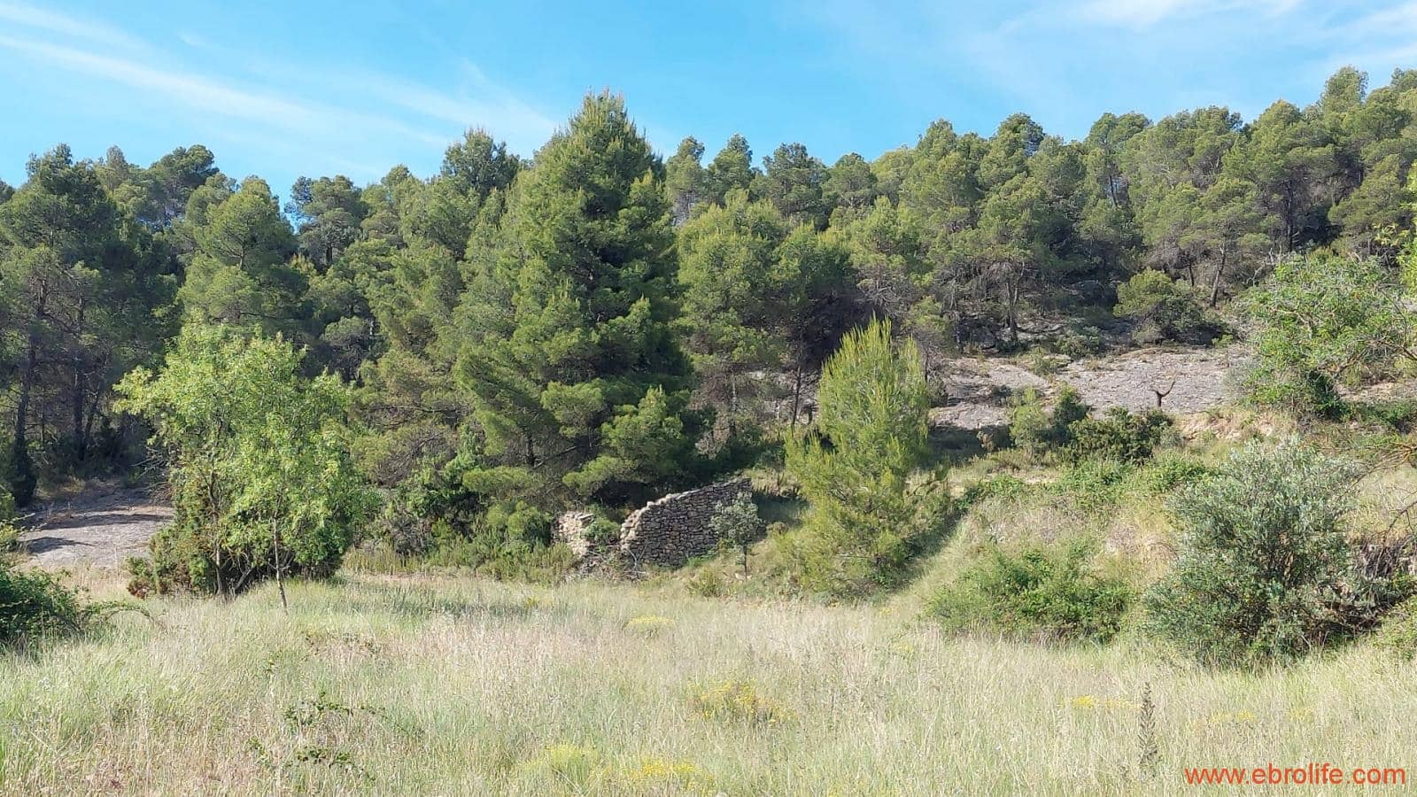1 Zimmer Finca/Landgut zu verkaufen in Rafales - 59.000 € (Ref: 9900705)