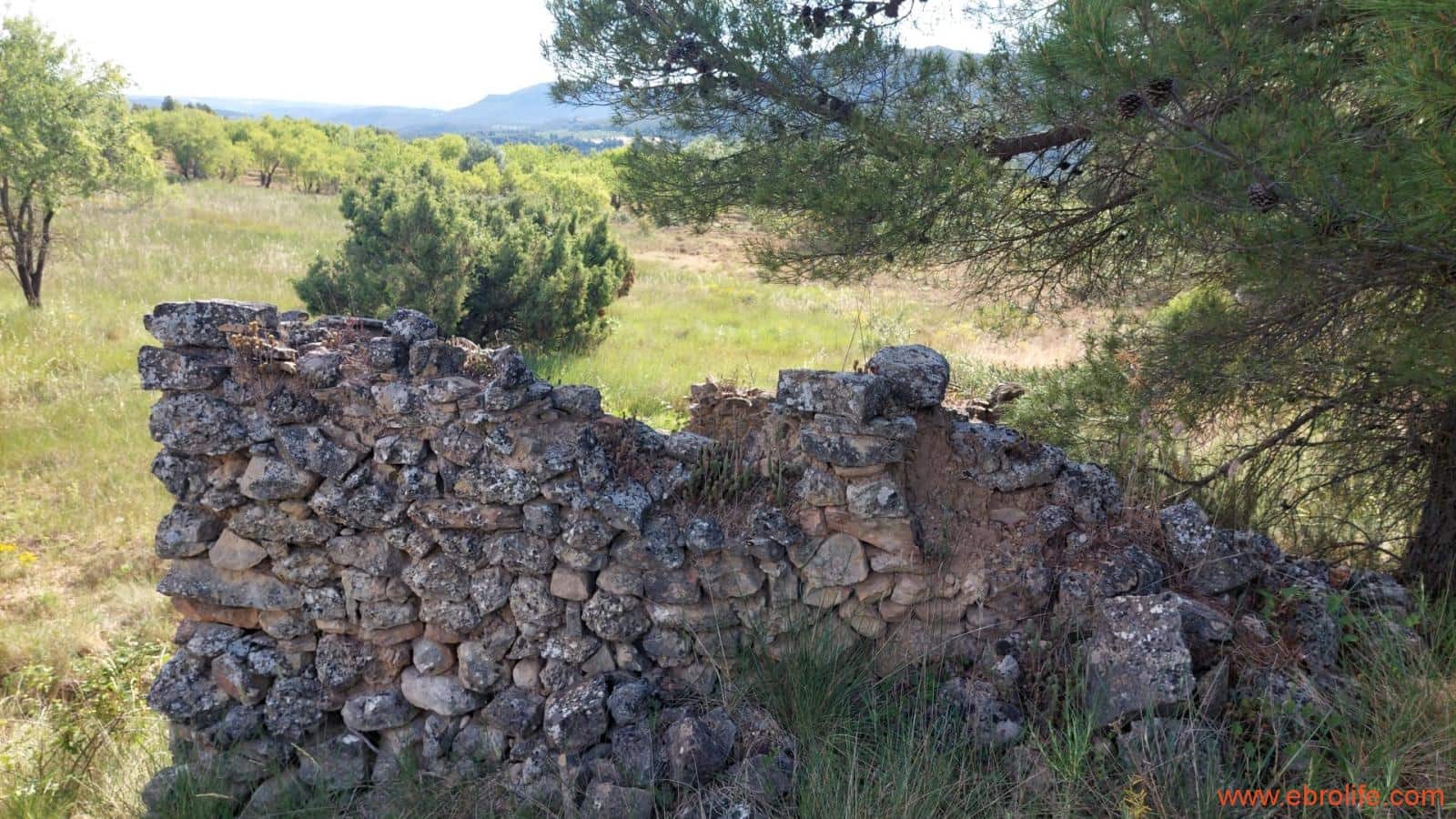 1 Zimmer Finca/Landgut zu verkaufen in Rafales - 59.000 € (Ref: 9900705)
