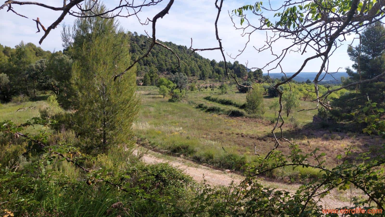 1 Zimmer Finca/Landgut zu verkaufen in Rafales - 59.000 € (Ref: 9900705)